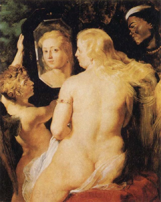 Peter Paul Rubens Venus at a Mirror France oil painting art